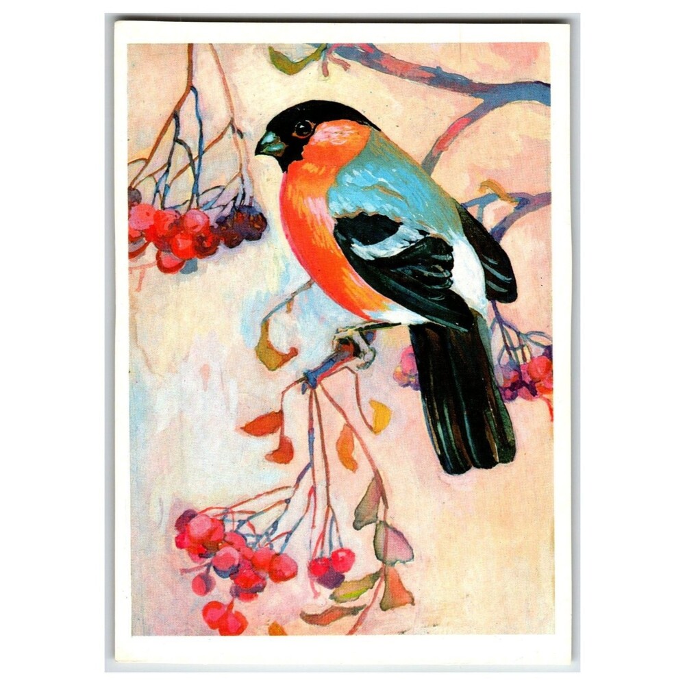 Vtg 1979 Russian Bullfinch Bird Postcard N. Albova Art Print Berries